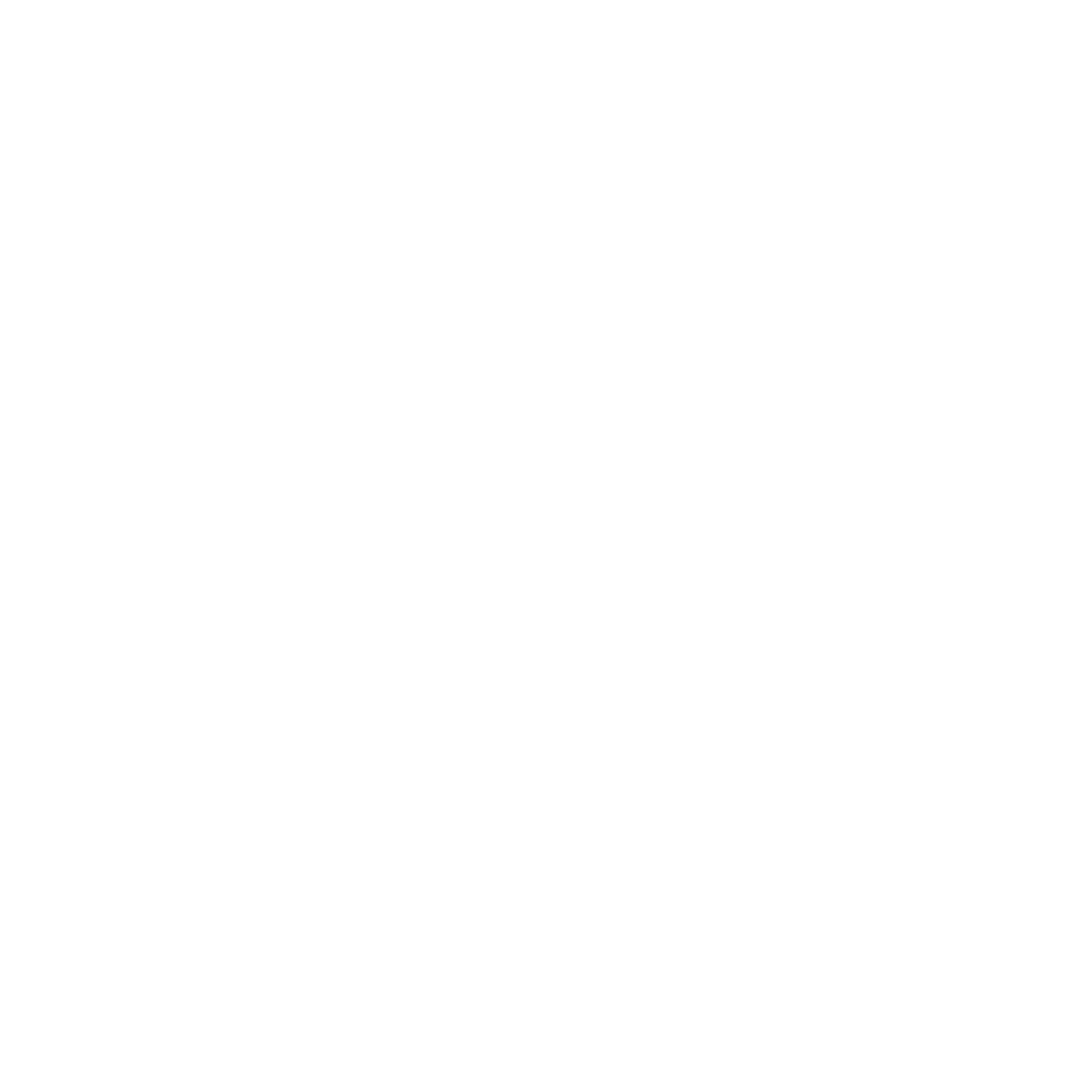 safe-travels